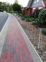 Herdenschutznetz OptiNet Blue 90cm, Einzelspitze, Vertikalstreben - 50m