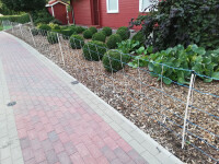 Herdenschutznetz OptiNet Blue 90cm, Einzelspitze, Vertikalstreben - 50m